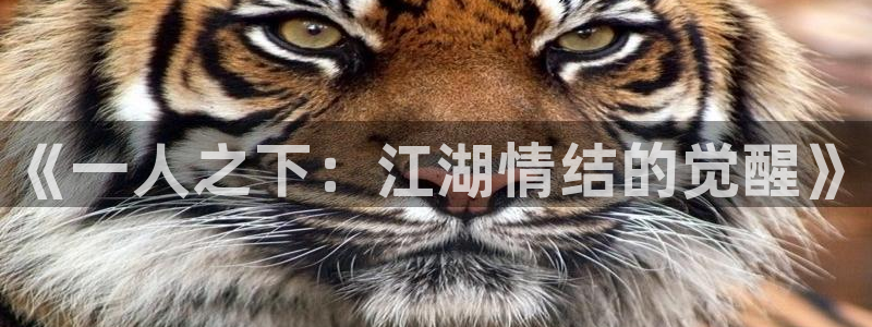 漫画之家官网_漫画之家韩漫在线阅读